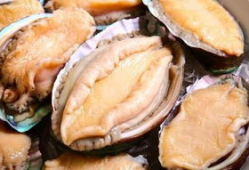 鲍鱼视频,视频带你领略海洋珍馐的魅力